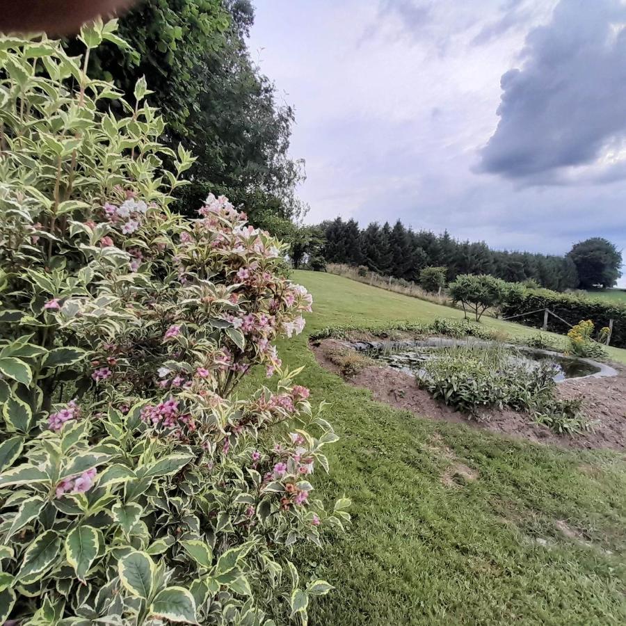 Le Gite Pierre Et Bois Houffalize Eksteriør bilde